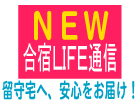 合宿Life通信